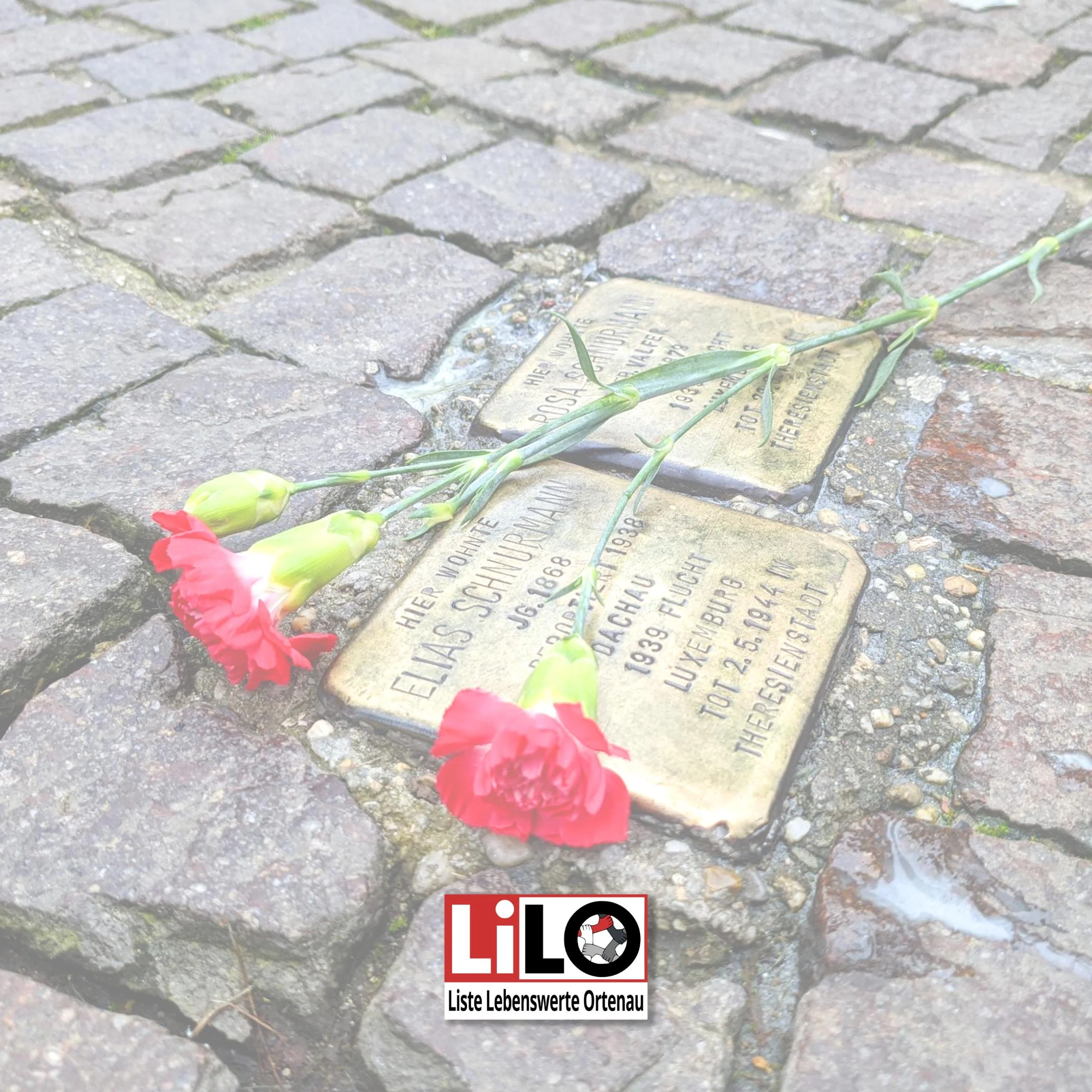 Liste Lebenswerte Ortenau - LiLO, Stolpersteine putzen